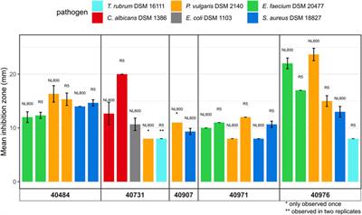 Challenging old microbiological treasures for natural compound biosynthesis capacity